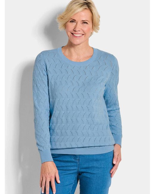 Goldner Blue Pullover
