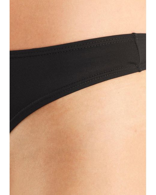 Flashlights Black String