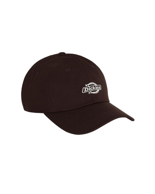 Dickies Cap in Multicolor für Herren