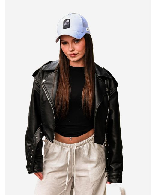 Be52 Cap Tiger Premiums in Blue für Herren