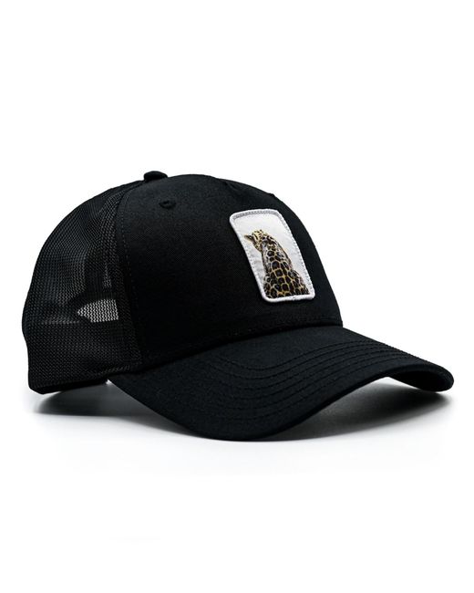Be52 Black Cap Leopard Premium