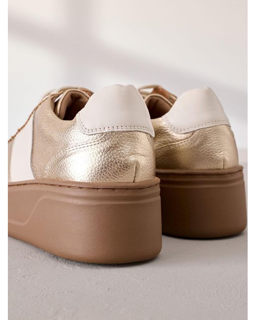 Next Multicolor Sneaker
