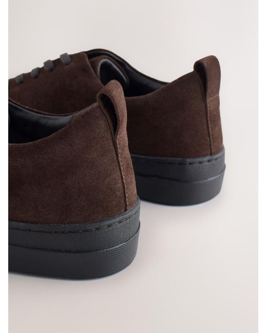 Next Sneaker N. Premium in Brown für Herren