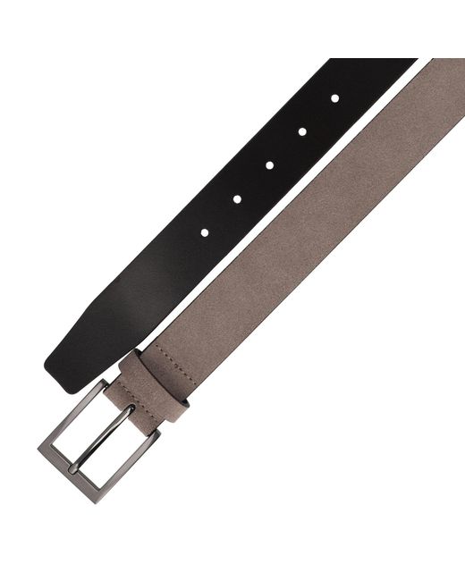 Strellson Gürtel in Brown für Herren
