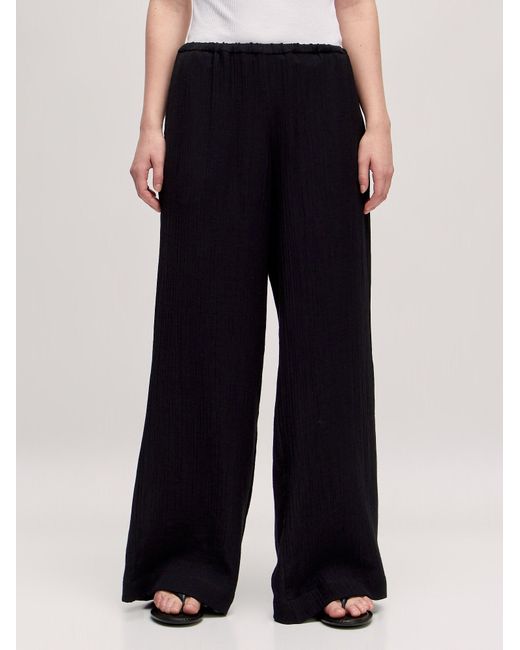 EDITED Black Hose Azalea