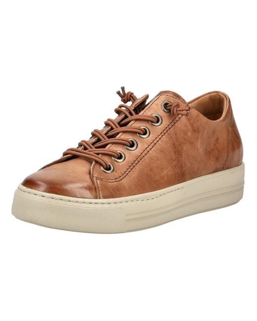 Paul Green Brown Sneaker