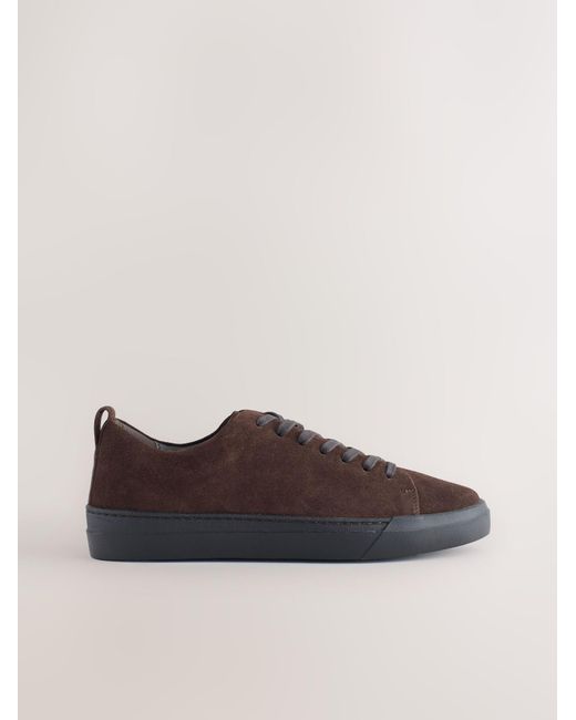 Next Sneaker N. Premium in Brown für Herren