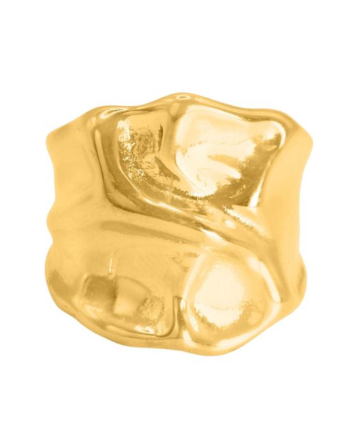 Heideman Metallic Ring Publio