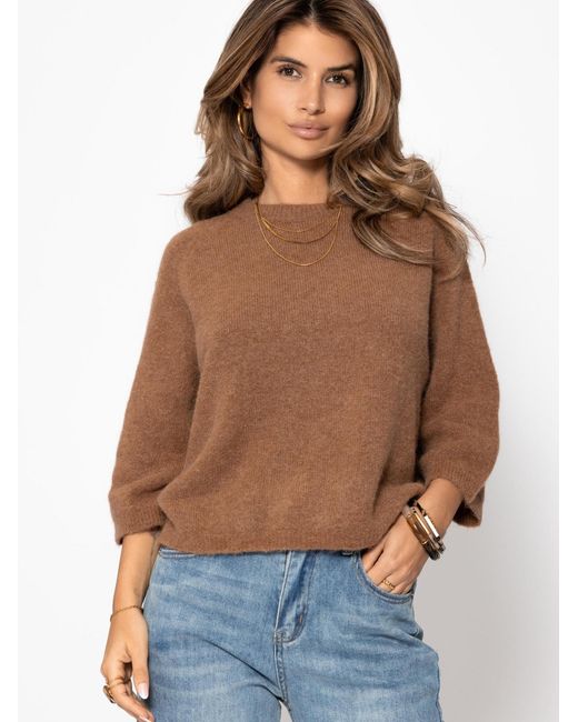 SassyClassy Brown Pullover