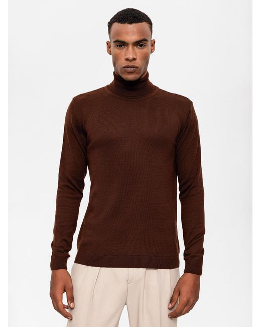 Antioch Pullover in Brown für Herren