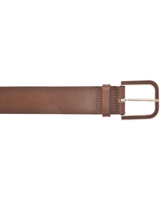 Vanzetti Brown Gürtel