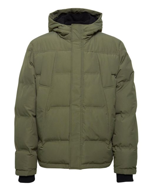 Solid Winterjacke Clarence in Green für Herren
