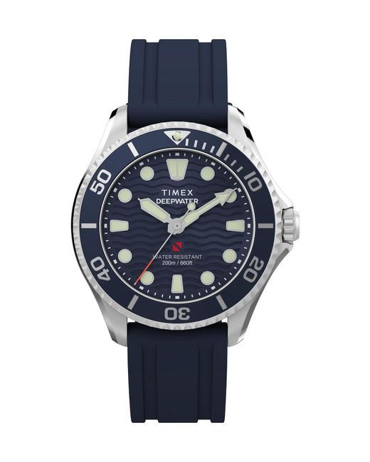 Timex Blue Analoguhr