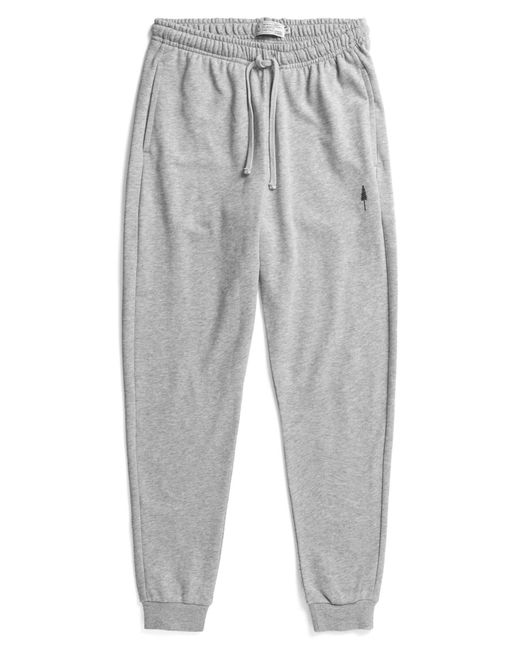 NIKIN Gray Hose Tree