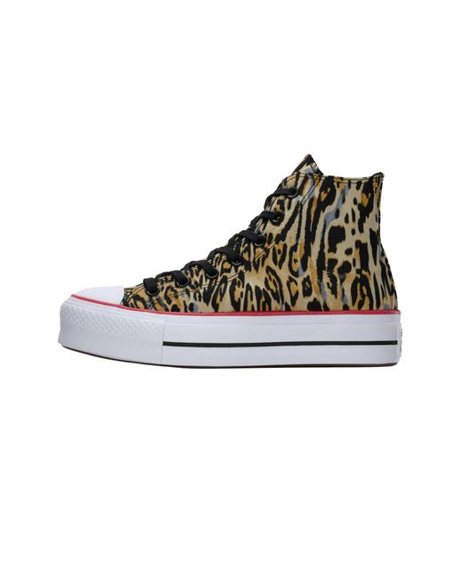 Converse Brown Sneaker Ctas