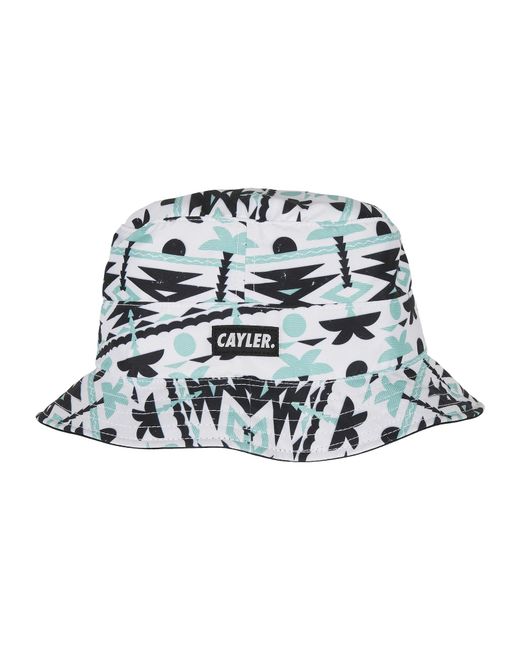Cayler & Sons Hut in Multicolor für Herren