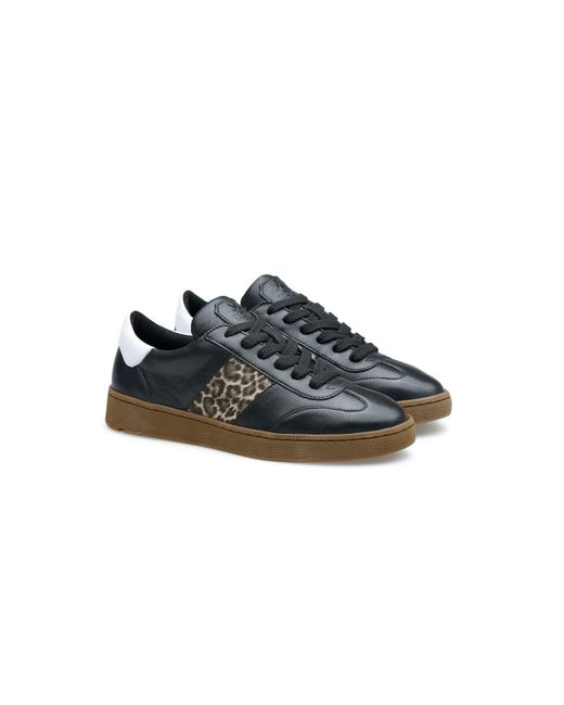 Lloyd Black Sneaker Aria