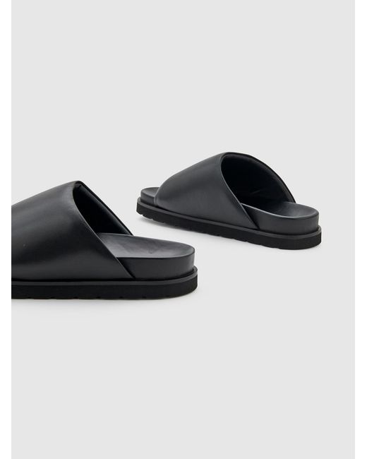 EDITED Black Slipper Mirea