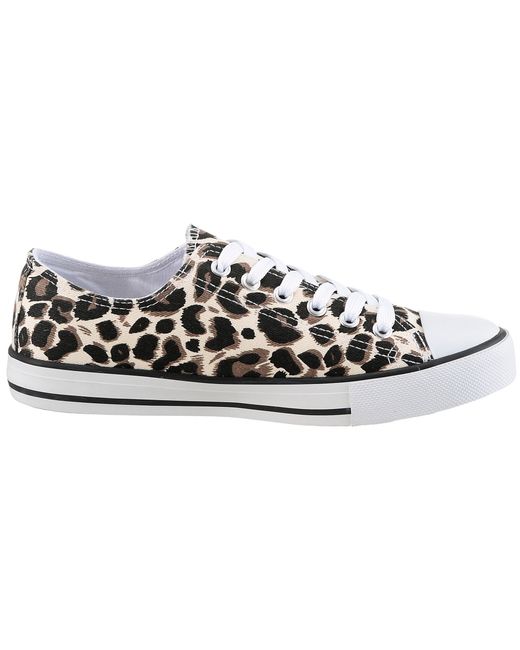 Aniston Black Sneaker
