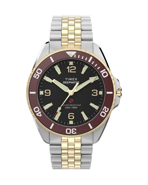 Timex Gray Analoguhr