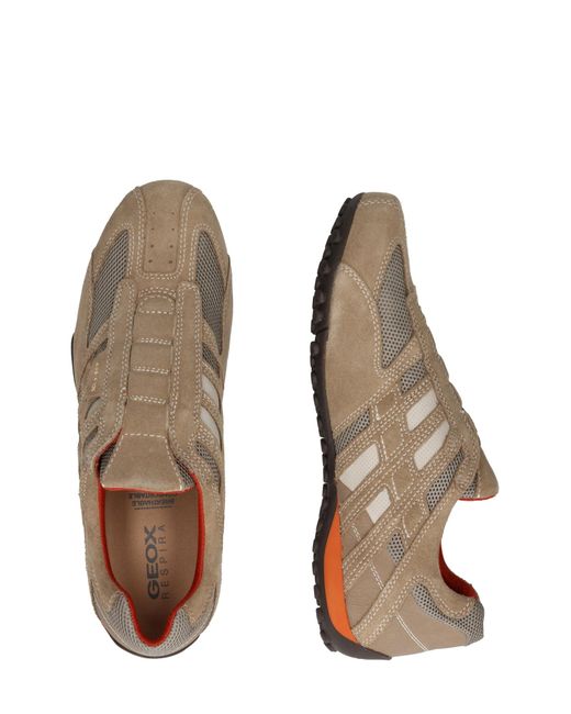 Geox Sneaker Uomo Snake in Multicolor für Herren