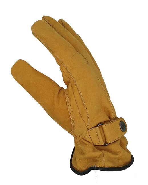Glow Hamburg Fingerhandschuhe Fw02-06Xx-1 in Yellow für Herren