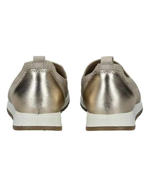 Imac Gray Slipper
