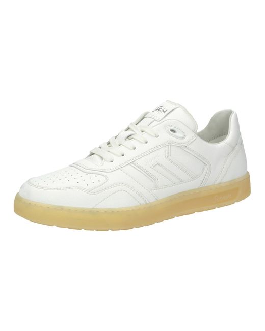 Sioux Sneaker Tedroso-712 in White für Herren