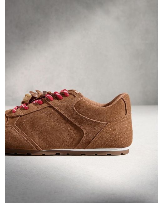 Next Brown Sneaker