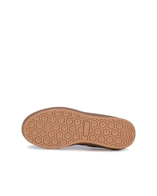 Posh By Poelman Brown Sneaker Bodie