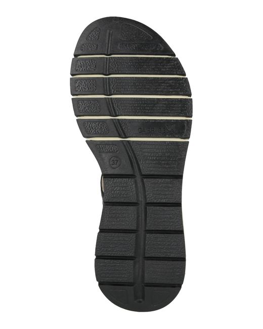 Caprice Black Sandale