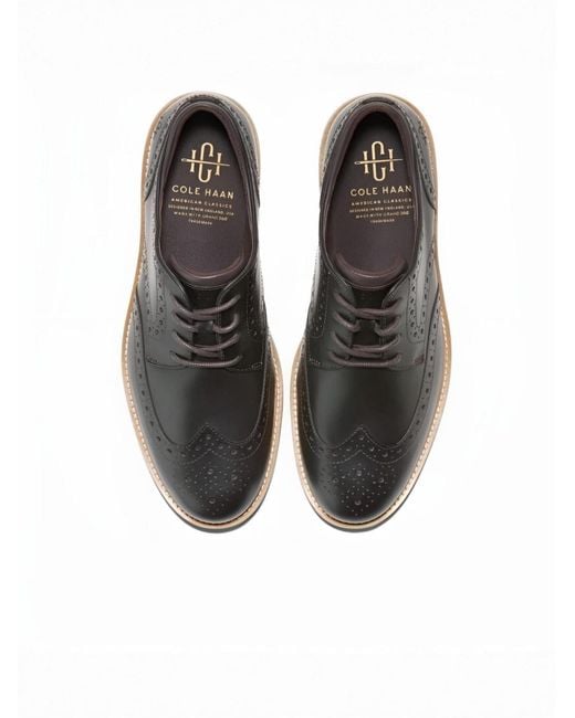 Cole Haan Schnürschuh Amer Cl Montrose Wng in Brown für Herren