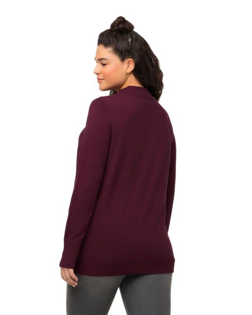 Ulla Popken Purple Pullover