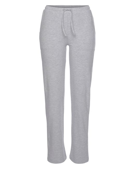 Flashlights Gray Hose