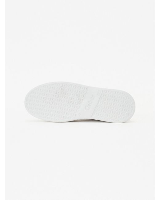 Gabor Black Sneaker
