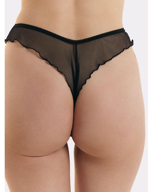 erlich textil Gray String Iconic