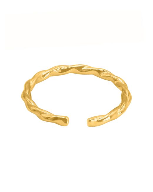 Heideman Metallic Ring Pater