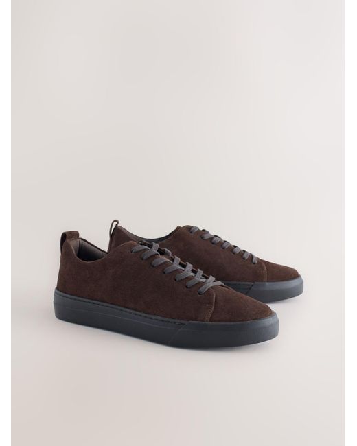 Next Sneaker N. Premium in Brown für Herren