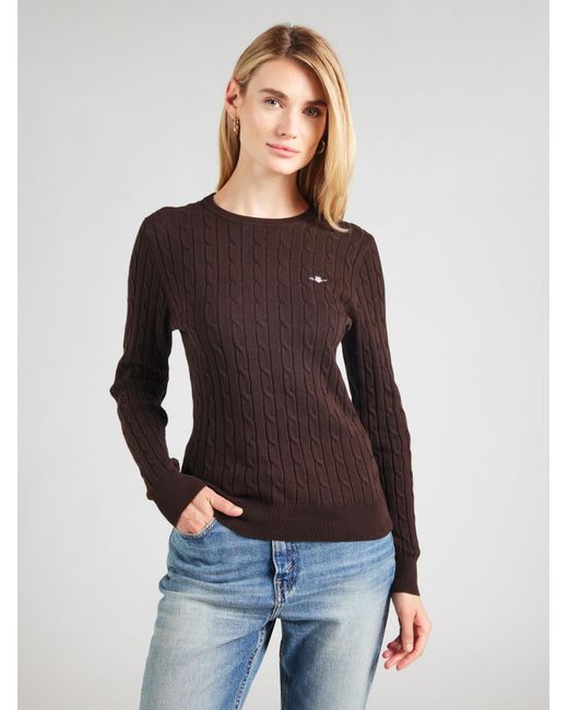 Gant Brown Pullover