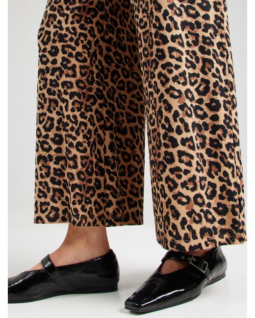 Studio Select Natural Hose Tabitha