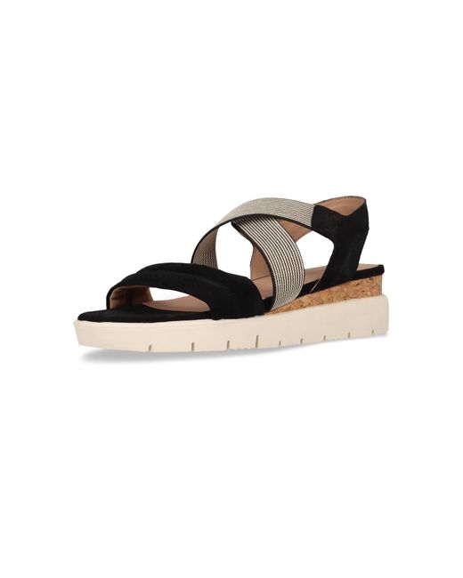 Salamander Black Sandale