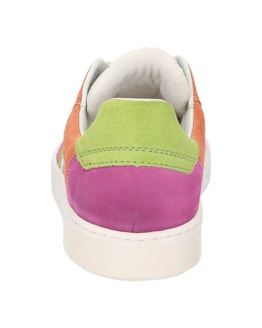 Sioux Pink Sneaker Tedroso