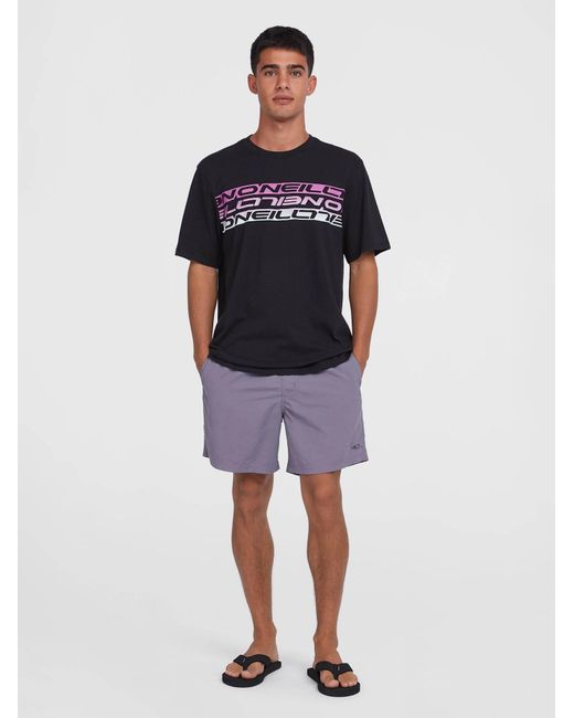 O'neill Sportswear Oneill Badeshorts Vert 16 in Purple für Herren