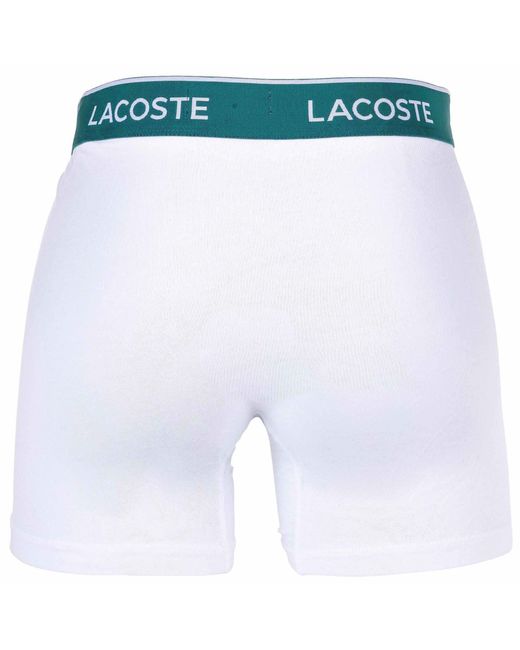 Lacoste 3Er Pack in Black für Herren