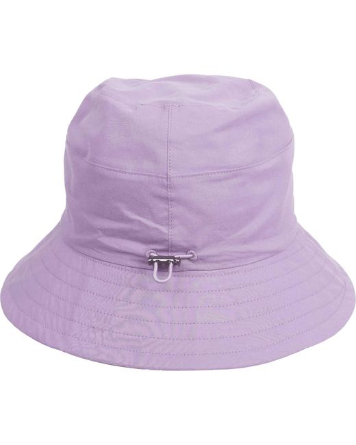 LOEVENICH Purple Hut