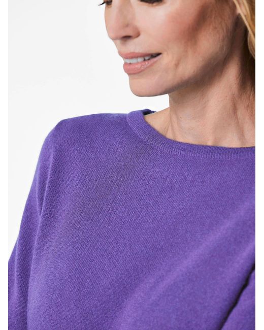 Goldner Purple Pullover