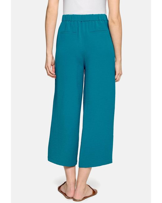 Zero Blue Hose