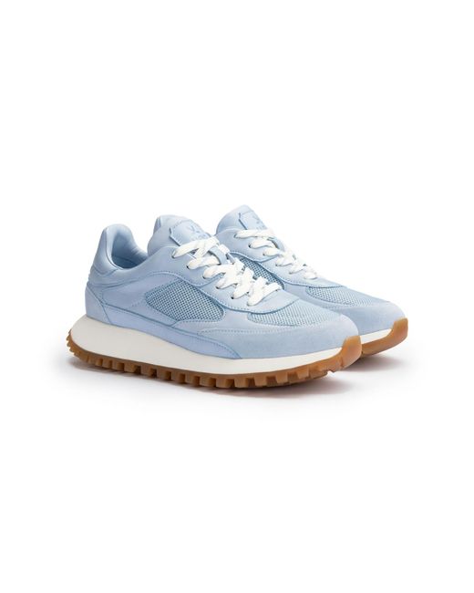 Lloyd Blue Sneaker Stella