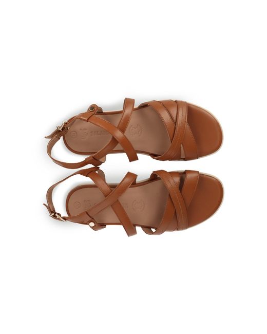 Salamander Brown Sandale