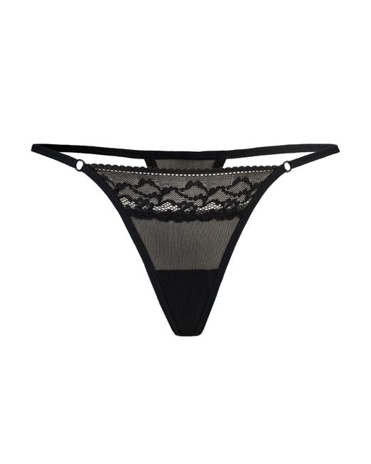 Teyli Black String Erori